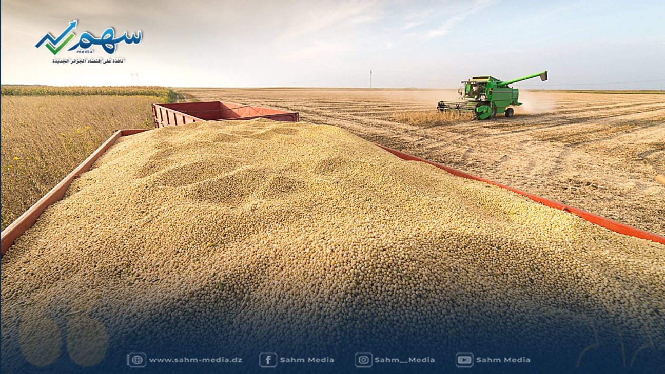 حتى لو توقف الإنتاج.. كيف أمنت دولة عربية مخزونه من القمح لسنوات قادمة؟ 