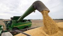 خبير ل "سهم ميديا": أزمة القمح العالمية ستتأزم أكثر جراء الأزمة الأوكرانية الروسية