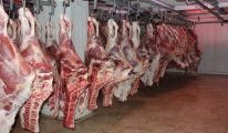 ضخ 54 ألف و 500 طن من اللحوم الحمراء قريبا تحسبا لشهر رمضان