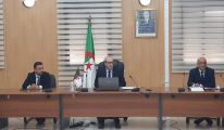 الجزائر والنيجر تبحثان مذكرة التفاهم في مجال البريد و تكنولوجيات الٳعلام و الٳتصال