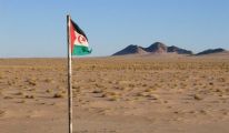 جمعية مراقبة الثروات وحماية البيئة الصحراوية ل " سهم ميديا": المغرب هو العدو الأول للبيئة في الصحراء الغربية