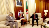 مساع لتعزيز المشاورات الاقتصادية وتبادل الخبرات بين الجزائر وروسيا في الطاقة
