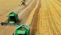 أوروبا تتوقع تسجيل انخفاض في محصول الذرة ب 24% في 2022