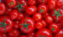 بولنوار: انخفاض سعر الطماطم ما يقارب 50% مقارنة بالأيام الأولى لرمضان