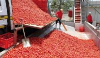 استئناف نشاط مصنع الطماطم بعنابة بعد توقفه