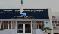 50 ملفا للاستثمار على طاولة الوكالة الوطنية لتطوير الاستثمار