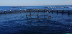 inbound6210184157703046503