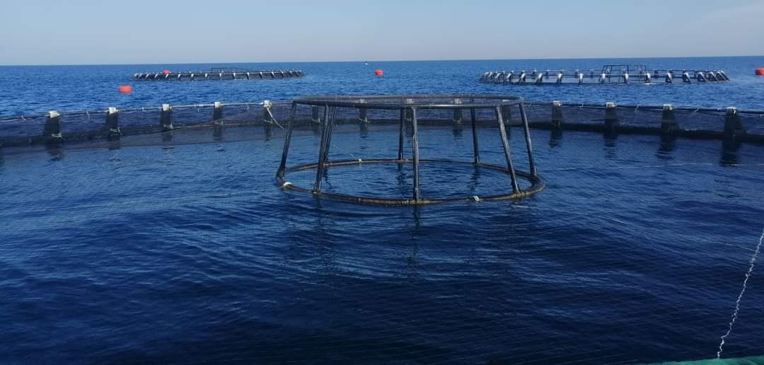 inbound6210184157703046503