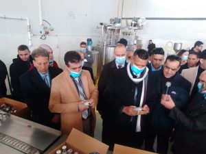 inbound2727087305998213870