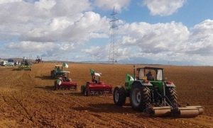 inbound8767431267840307959