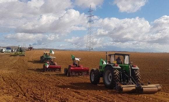 inbound8767431267840307959