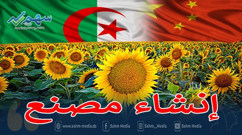 شراكة جزائرية صينية لإنشاء مصنع لتكسير البذور الزيتية بالجزائر