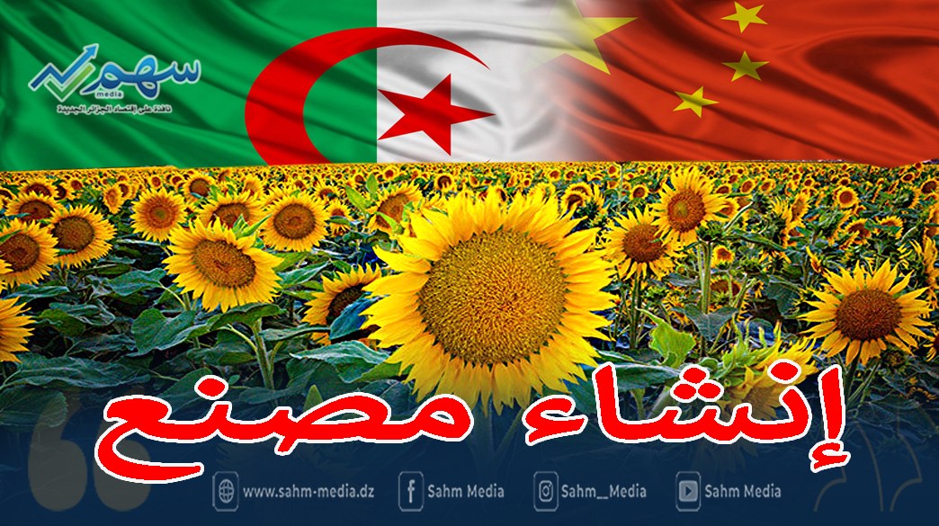 شراكة جزائرية صينية لإنشاء مصنع لتكسير البذور الزيتية بالجزائر