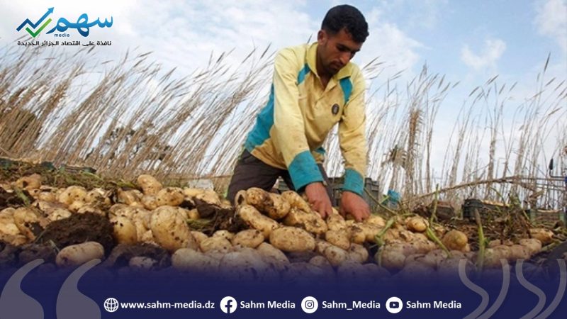 30 متعامل فلاحي يستفيدون من بعثة دراسية الى كاليفورنيا