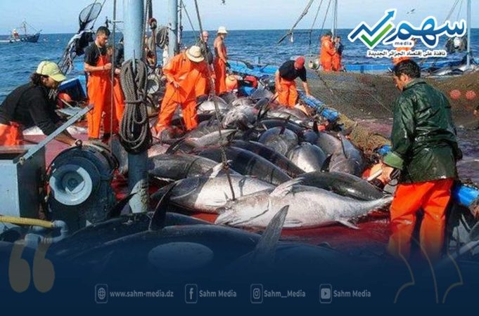 ثلاث سفن مصنوعة بسواعد جزائرية تشارك في إصطياد سمك التونة