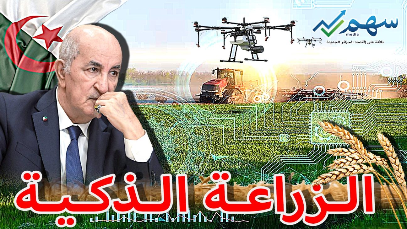 الزراعة الذكية... جسر نحو الأمن الغذائي في الجزائر